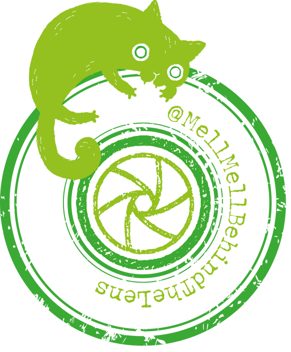 MellMell Behind the Lens